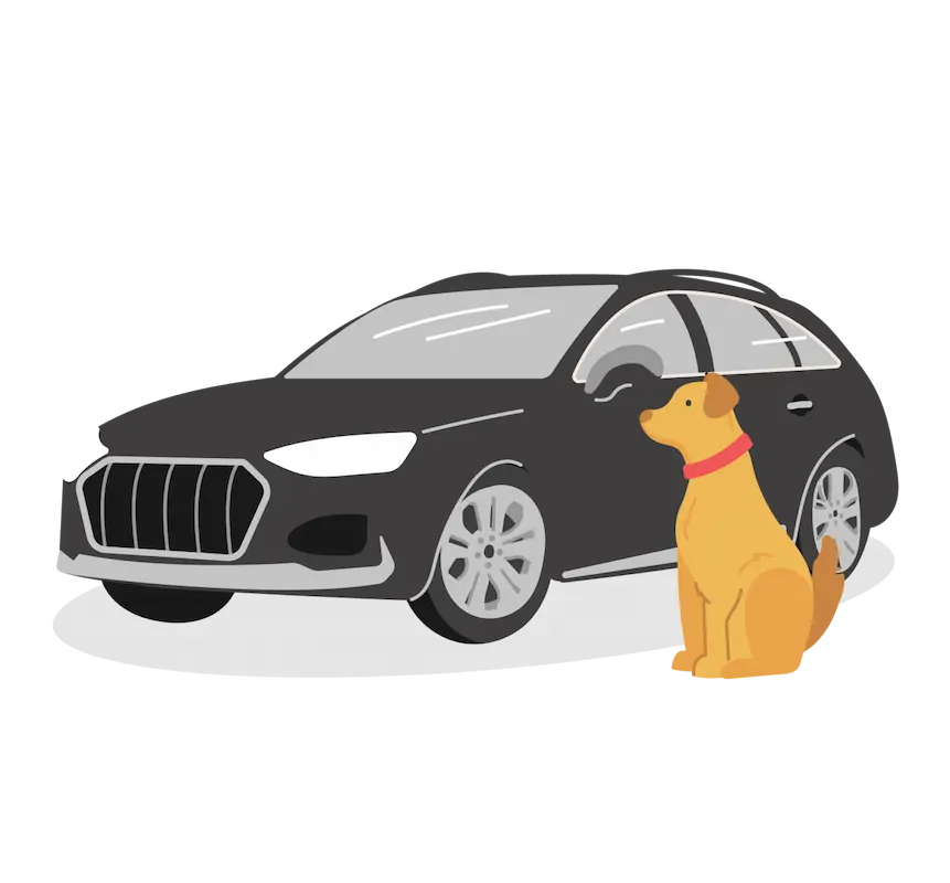 Move Pets illustration